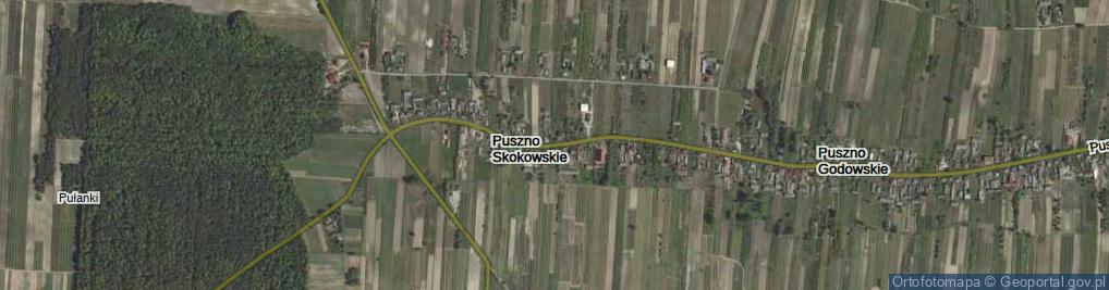 Zdjęcie satelitarne Puszno Skokowskie ul.